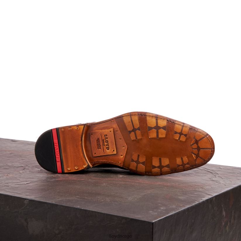 LLOYD warwick menn sko brun 4X82ZP74