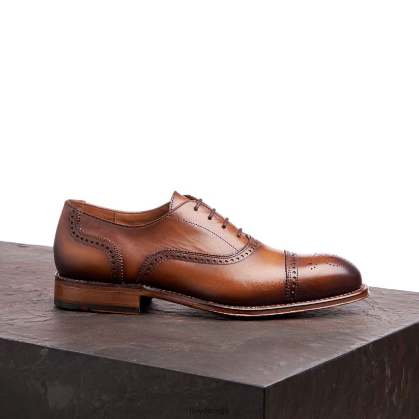 LLOYD waterloo menn sko brun 4X82ZP21