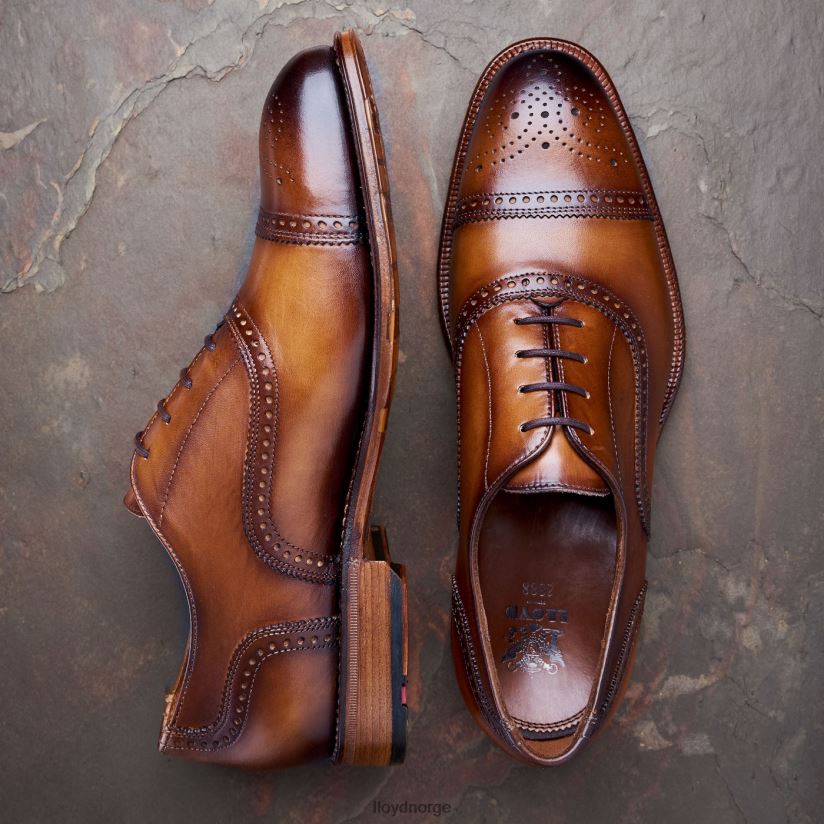 LLOYD waterloo menn sko brun 4X82ZP21