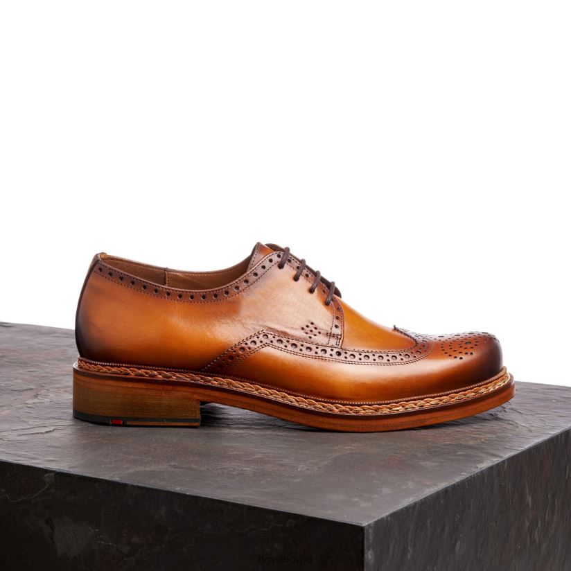 LLOYD wotan menn sko brun 4X82ZP163