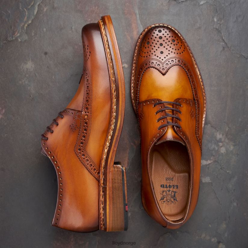 LLOYD wotan menn sko brun 4X82ZP163