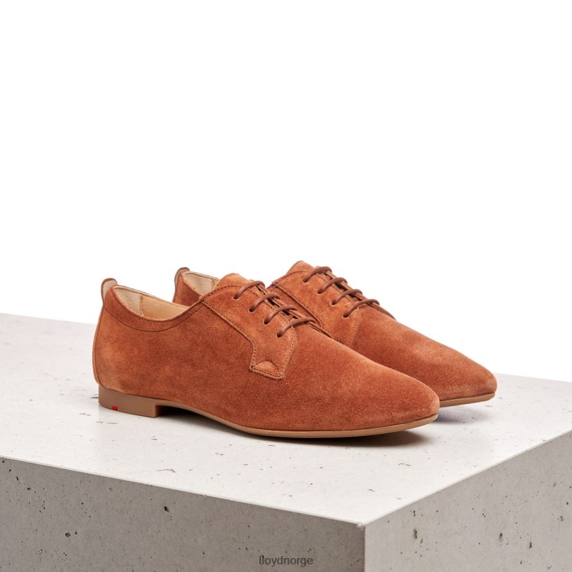 LLOYD semsket snøre halvsko kvinner sko brun 4X82ZP1185