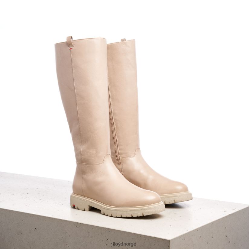 LLOYD støvler kvinner sko beige 4X82ZP1195