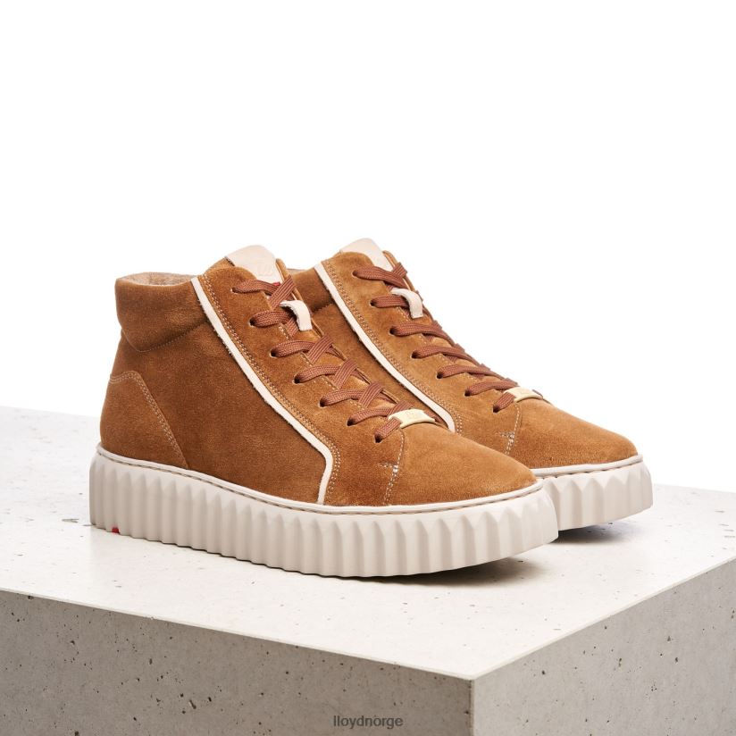 LLOYD høye sneakers kvinner sko brun 4X82ZP771