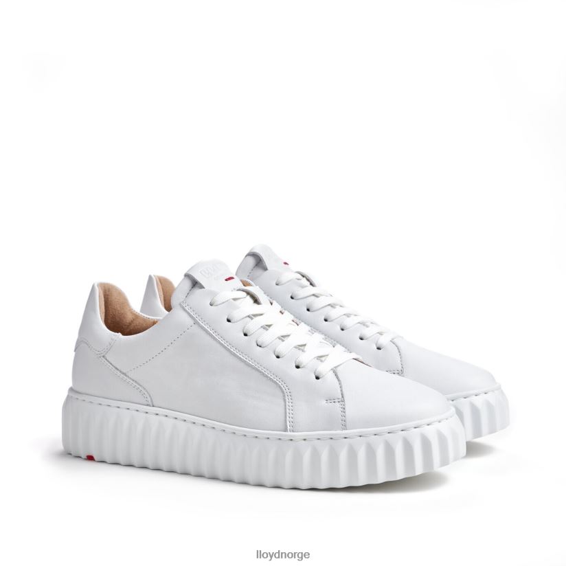 LLOYD lav topp sneaker kvinner sko hvit 4X82ZP761