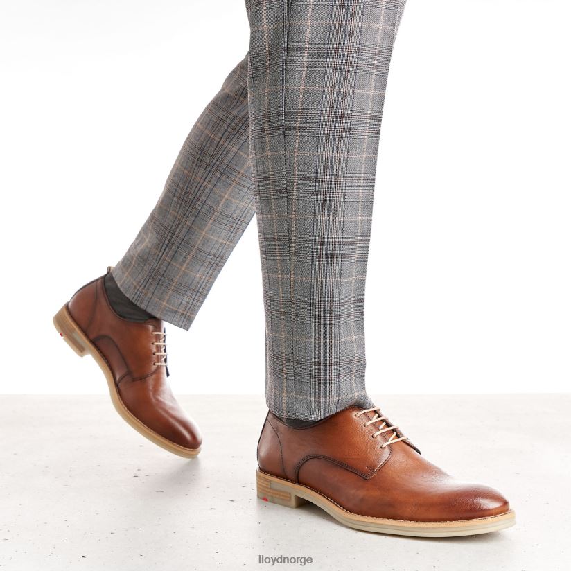 LLOYD dakota menn sko brun 4X82ZP608