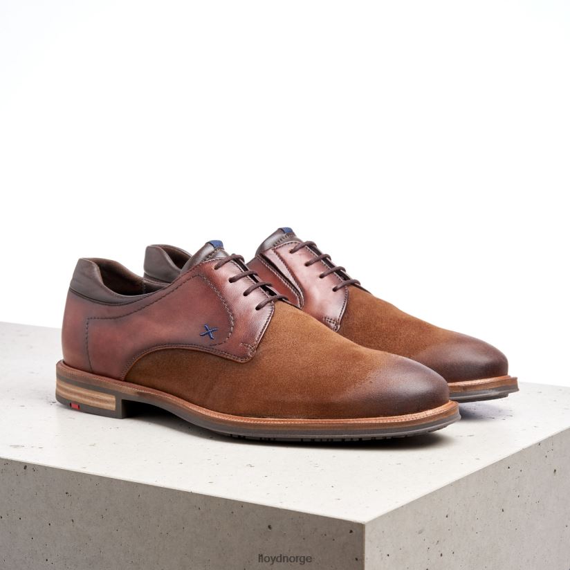 LLOYD kaunas (ekstravide) menn sko brun 4X82ZP228