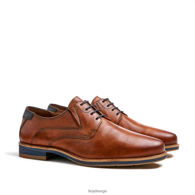 LLOYD kazan (ekstra bred) menn sko brun 4X82ZP110