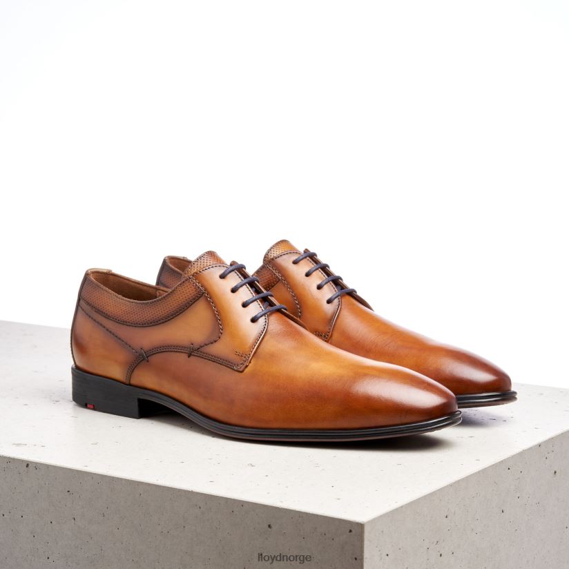 LLOYD madison menn sko brun 4X82ZP192