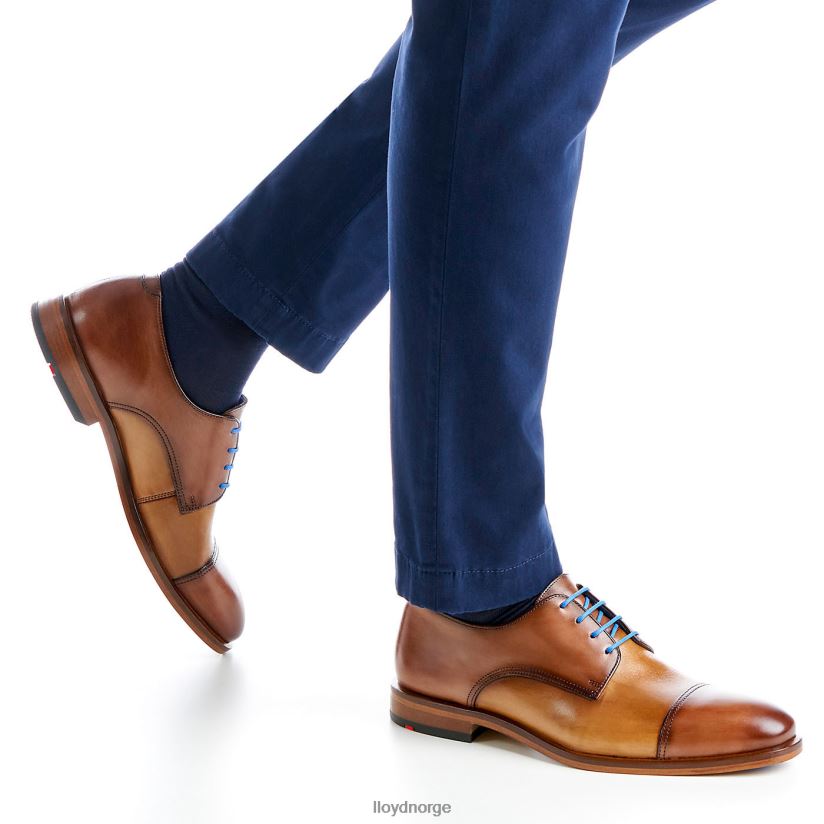 LLOYD rick menn sko brun 4X82ZP216