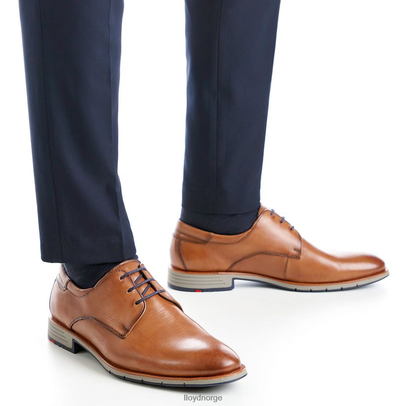 LLOYD tambo menn sko brun 4X82ZP23