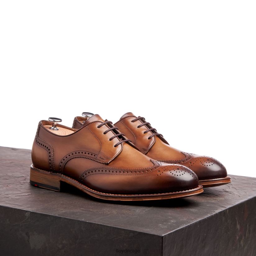 LLOYD warwick menn sko brun 4X82ZP74