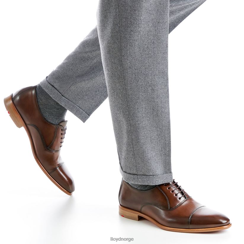 LLOYD parcas menn sko brun 4X82ZP156