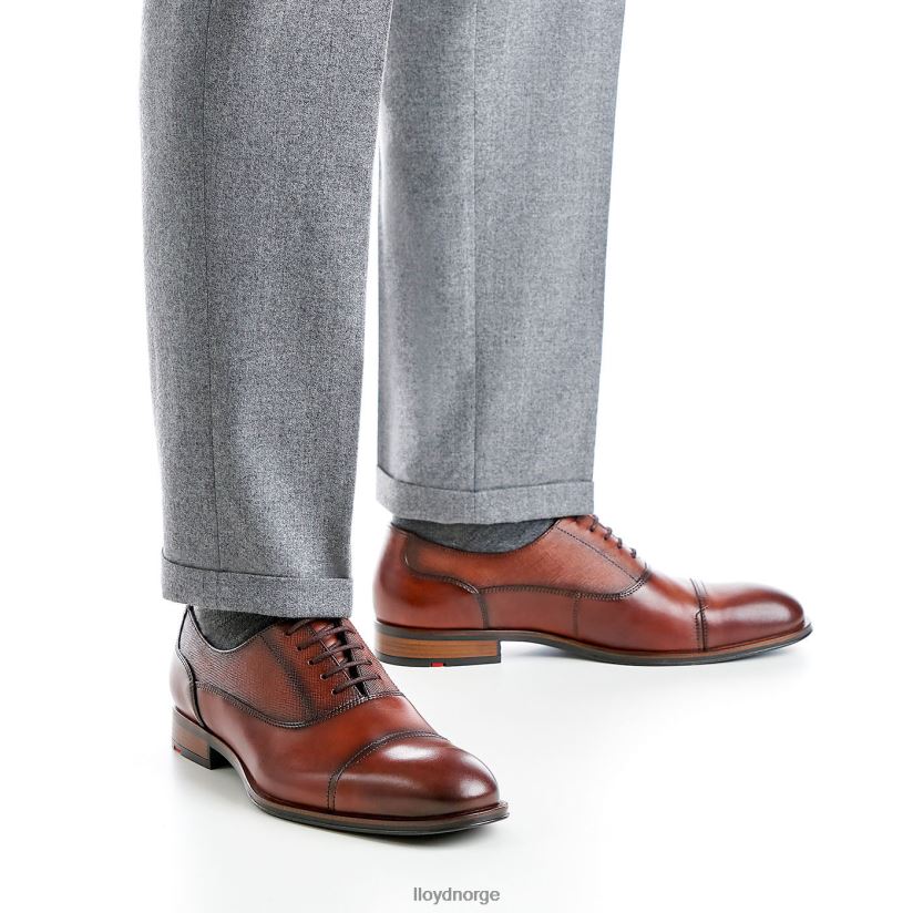 LLOYD santiago menn sko brun 4X82ZP238