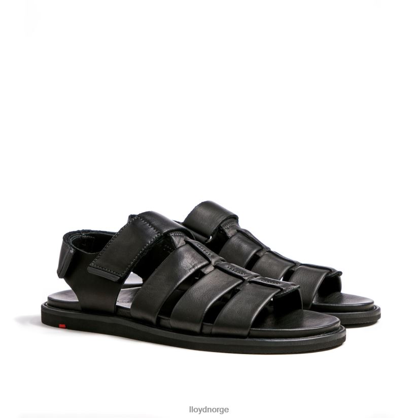 LLOYD elimar menn sko svart 4X82ZP580