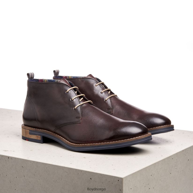 LLOYD daniel menn sko brun 4X82ZP168