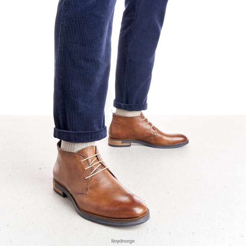 LLOYD daniel menn sko brun 4X82ZP549