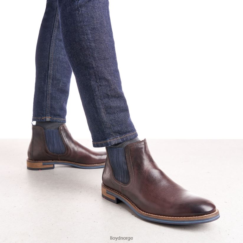 LLOYD dario menn sko brun 4X82ZP1342