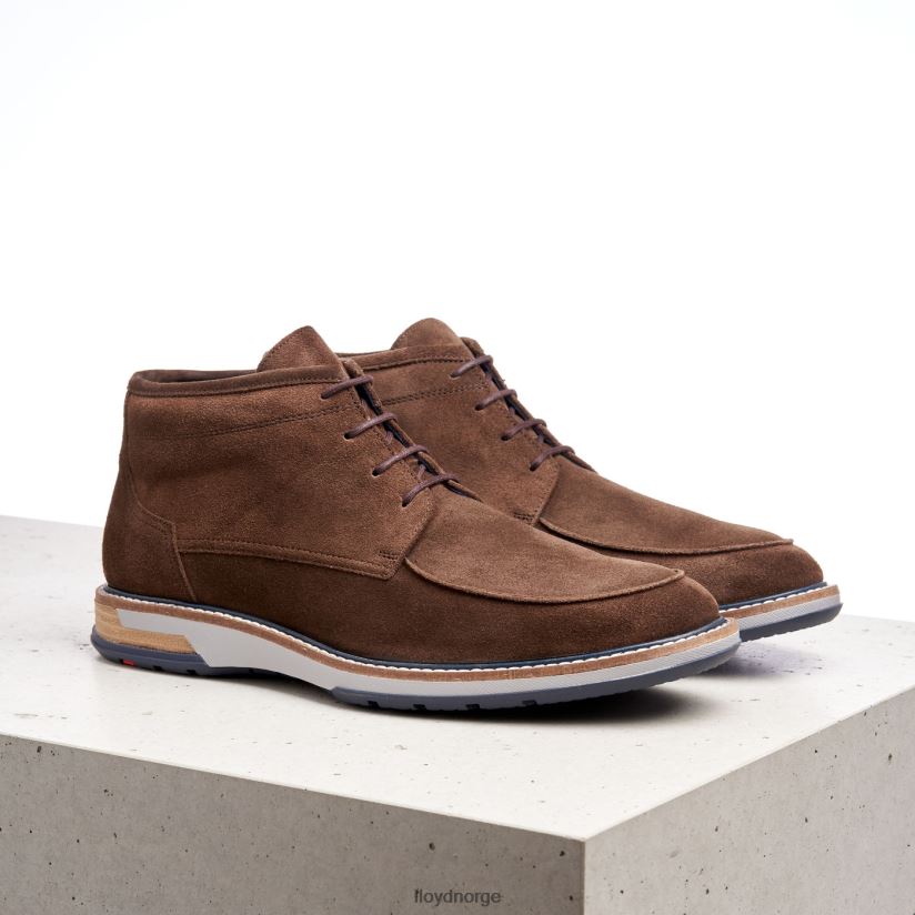 LLOYD gianni menn sko brun 4X82ZP555