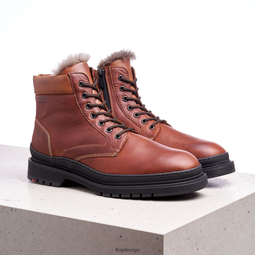 LLOYD hollis menn sko brun 4X82ZP537