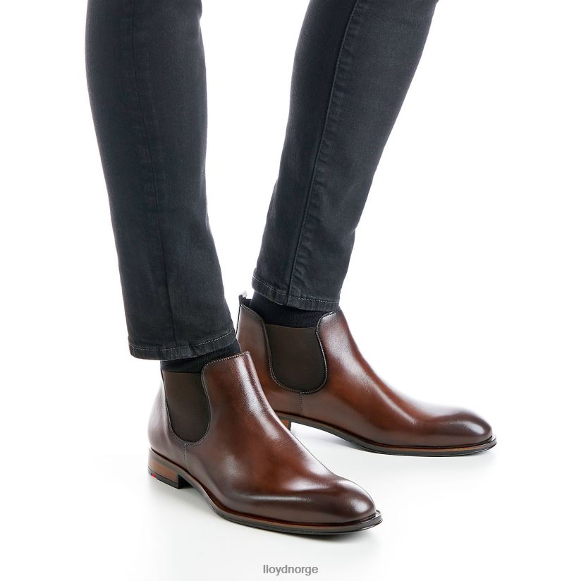 LLOYD speider menn sko brun 4X82ZP239