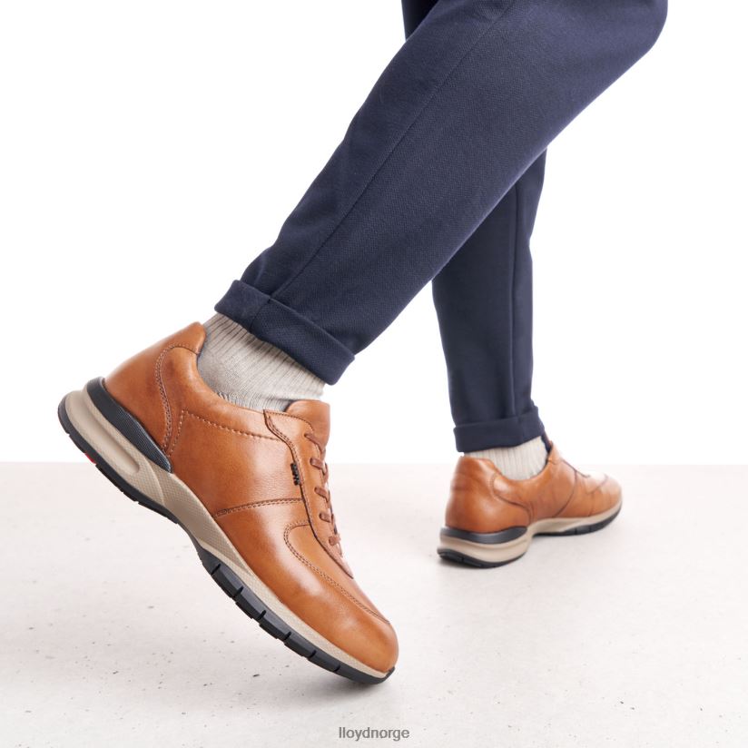 LLOYD aberdeen menn sko brun 4X82ZP392