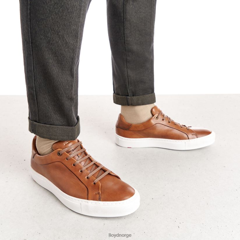 LLOYD ajan menn sko brun 4X82ZP391