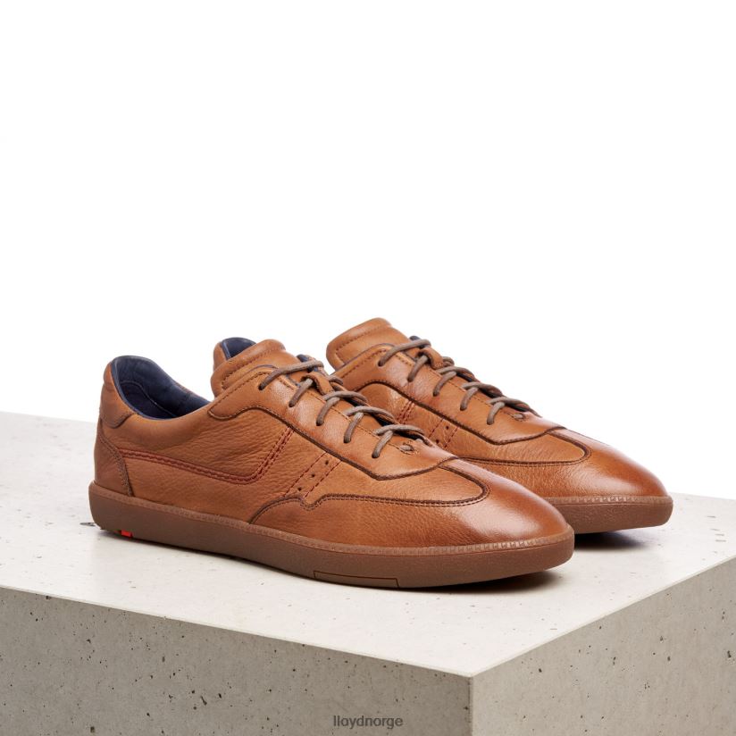 LLOYD bastian menn sko brun 4X82ZP423