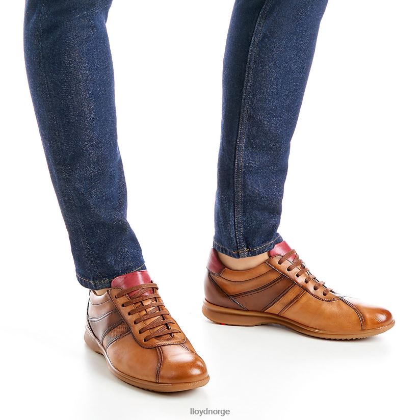 LLOYD davos menn sko brun 4X82ZP308