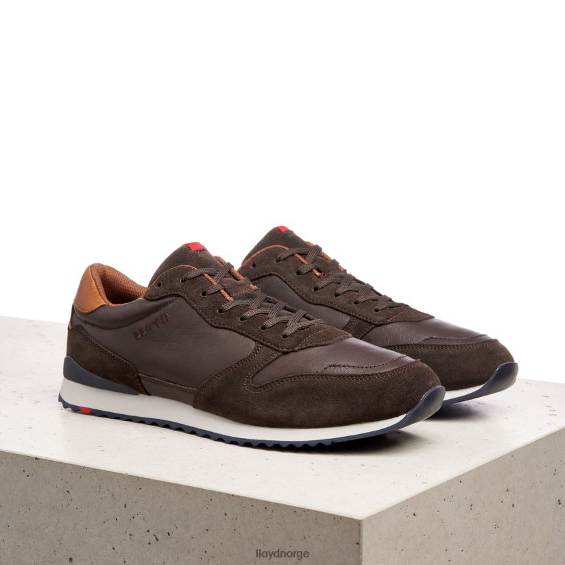LLOYD edmond menn sko brun 4X82ZP401