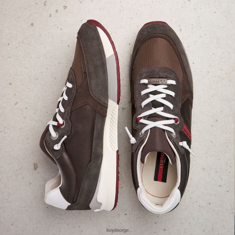 LLOYD egidio menn sko brun 4X82ZP432