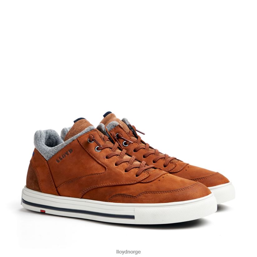 LLOYD ellison menn sko brun 4X82ZP316