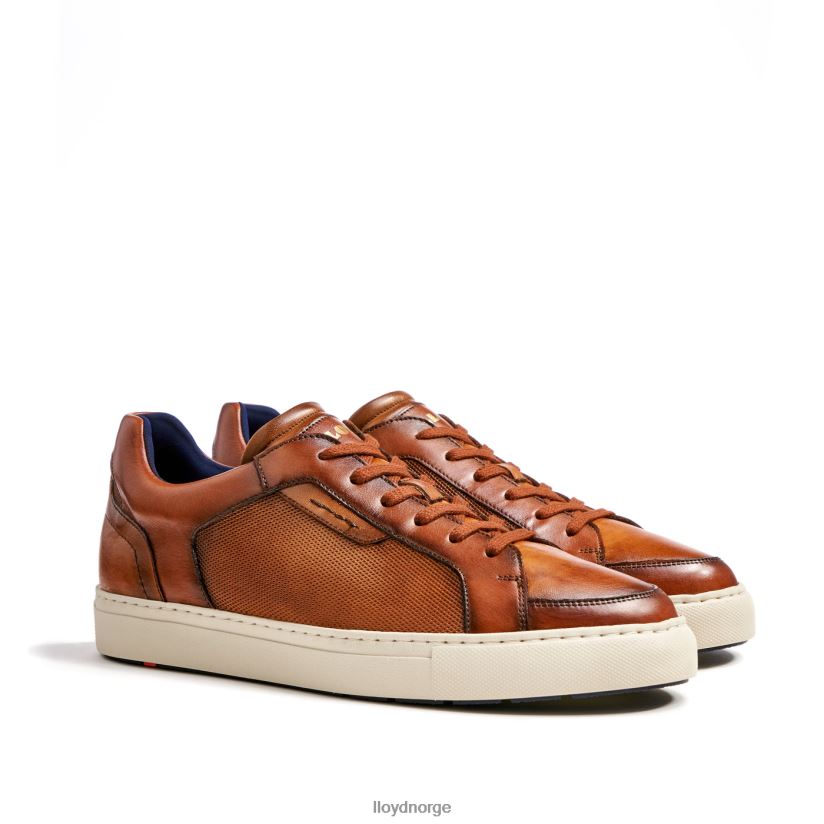 LLOYD malaga menn sko brun 4X82ZP1327