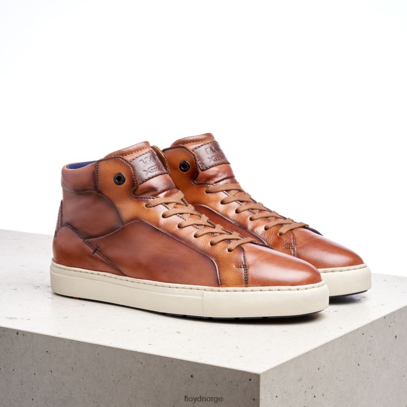 LLOYD marskalk menn sko brun 4X82ZP254